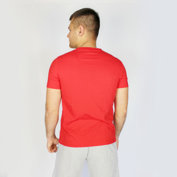 Футболка чоловіча трикотаж Fly 22032С - фото №18