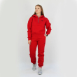Спортивний жіночий костюм фліс Fly 23190С - фото №1