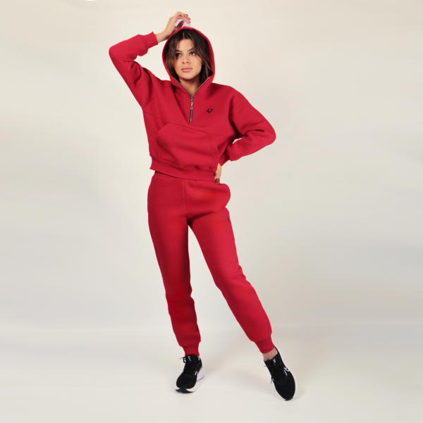 Спортивний жіночий костюм фліс Fly 23190С - фото