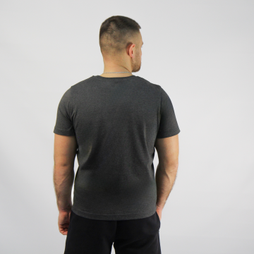 Футболка 24223С-SS25 FLY (ч) - фото